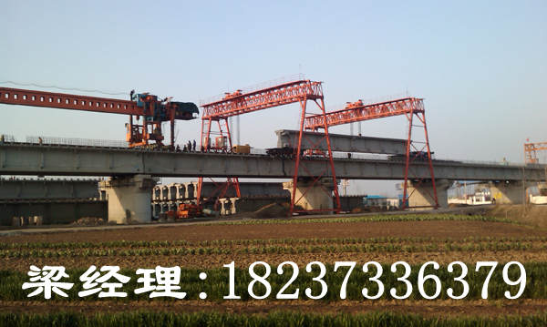 湖南長沙龍門吊廠家介紹龍門吊的分類