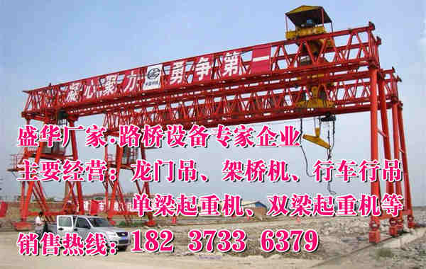 遼寧阜新龍門吊廠家