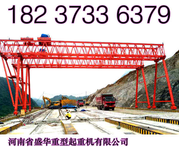 江蘇泰州龍門吊廠家